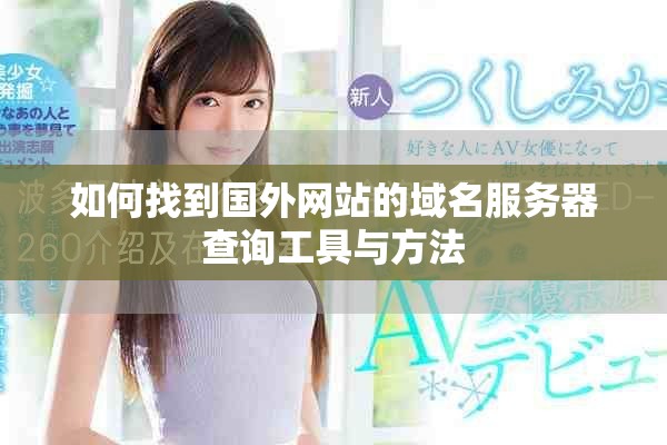 如何找到国外网站的域名服务器查询工具与方法