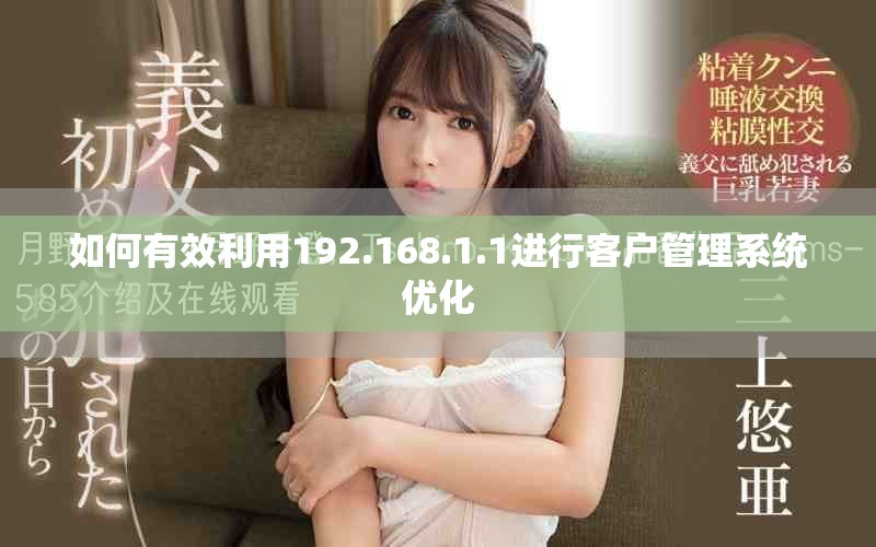 如何有效利用192.168.1.1进行客户管理系统优化