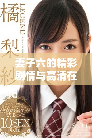 妻子六的精彩剧情与高清在线播放方式全面解析与推荐
