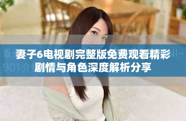 妻子6电视剧完整版免费观看精彩剧情与角色深度解析分享