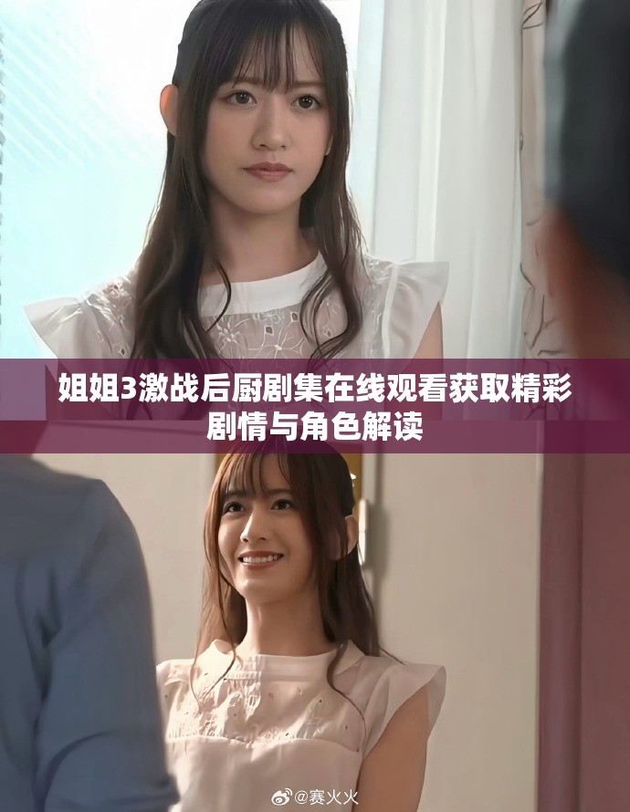 姐姐3激战后厨剧集在线观看获取精彩剧情与角色解读