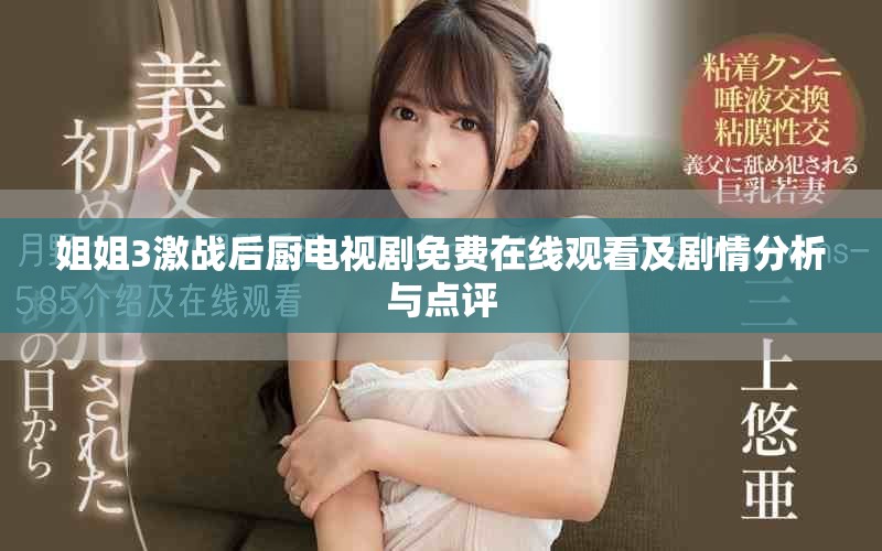姐姐3激战后厨电视剧免费在线观看及剧情分析与点评