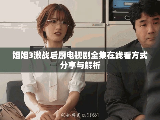 姐姐3激战后厨电视剧全集在线看方式分享与解析