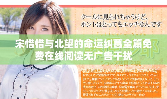 宋惜惜与北望的命运纠葛全篇免费在线阅读无广告干扰