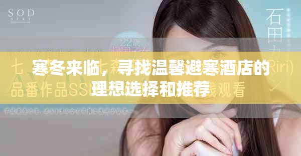 寒冬来临，寻找温馨避寒酒店的理想选择和推荐