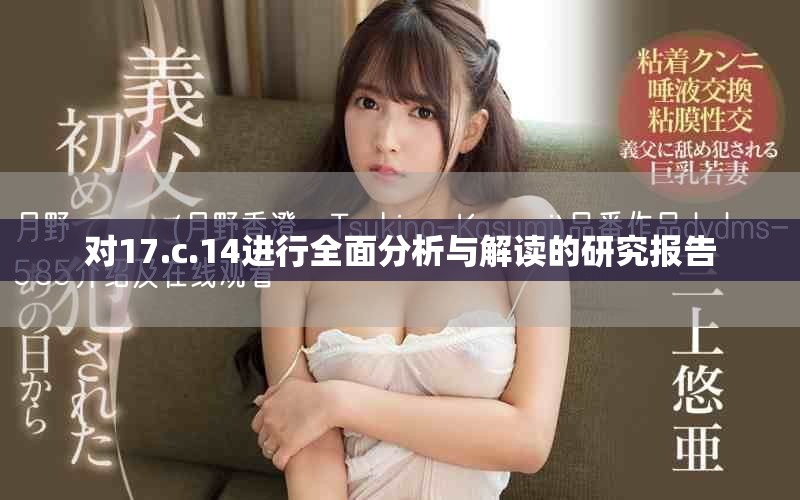 对17.c.14进行全面分析与解读的研究报告