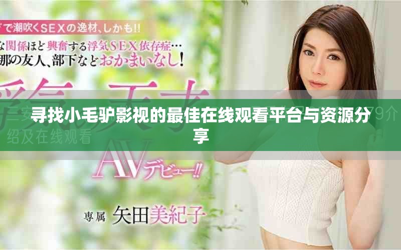 寻找小毛驴影视的最佳在线观看平台与资源分享