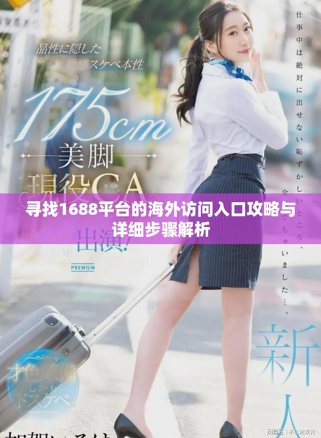 寻找1688平台的海外访问入口攻略与详细步骤解析