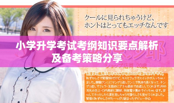 小学升学考试考纲知识要点解析及备考策略分享