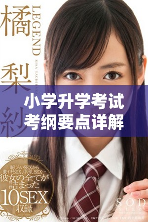小学升学考试考纲要点详解与备考指导策略分享