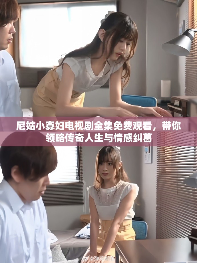 尼姑小寡妇电视剧全集免费观看，带你领略传奇人生与情感纠葛