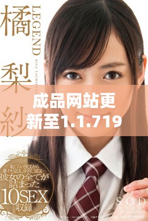 成品网站更新至1.1.719版本全新功能与优化详解