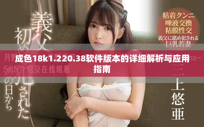 成色18k1.220.38软件版本的详细解析与应用指南