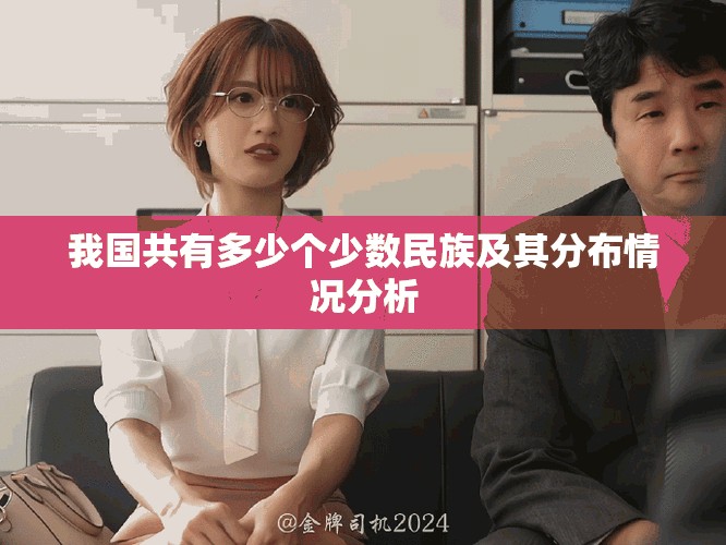 我国共有多少个少数民族及其分布情况分析