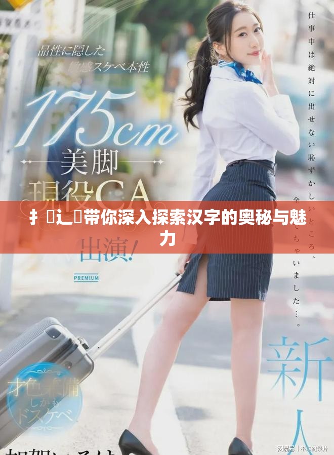 扌喿辶畐带你深入探索汉字的奥秘与魅力