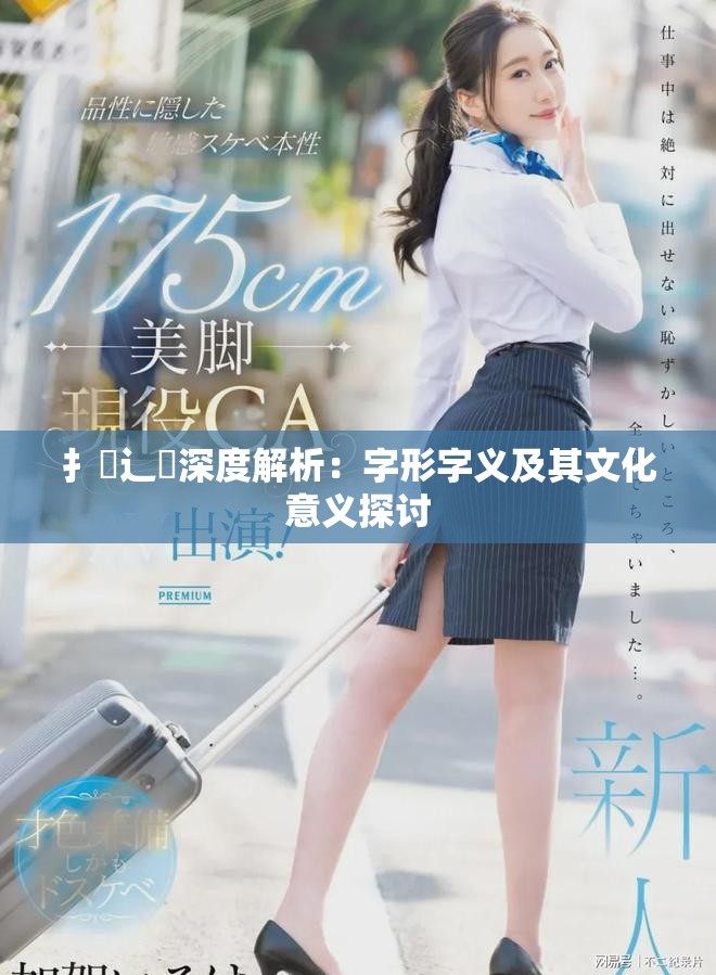 扌喿辶畐深度解析：字形字义及其文化意义探讨