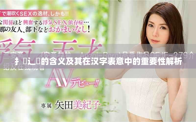 扌喿辶畐的含义及其在汉字表意中的重要性解析