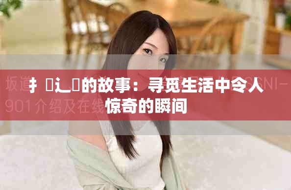 扌喿辶畐的故事：寻觅生活中令人惊奇的瞬间