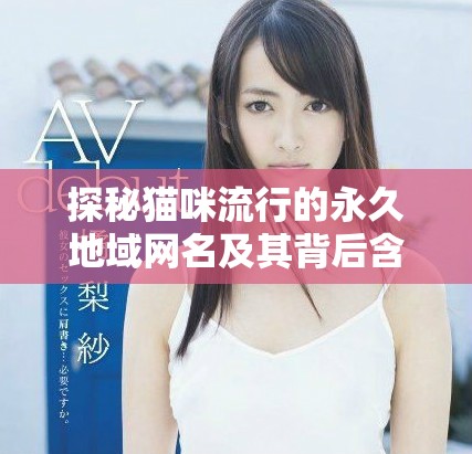 探秘猫咪流行的永久地域网名及其背后含义