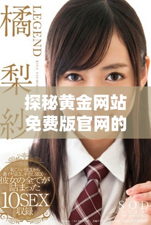 探秘黄金网站免费版官网的全面功能与实用指南