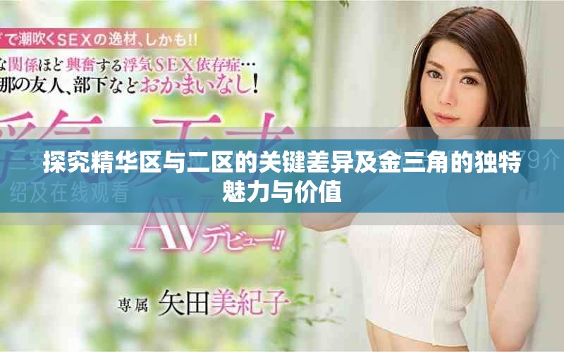 探究精华区与二区的关键差异及金三角的独特魅力与价值