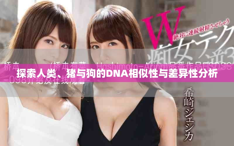 探索人类、猪与狗的DNA相似性与差异性分析