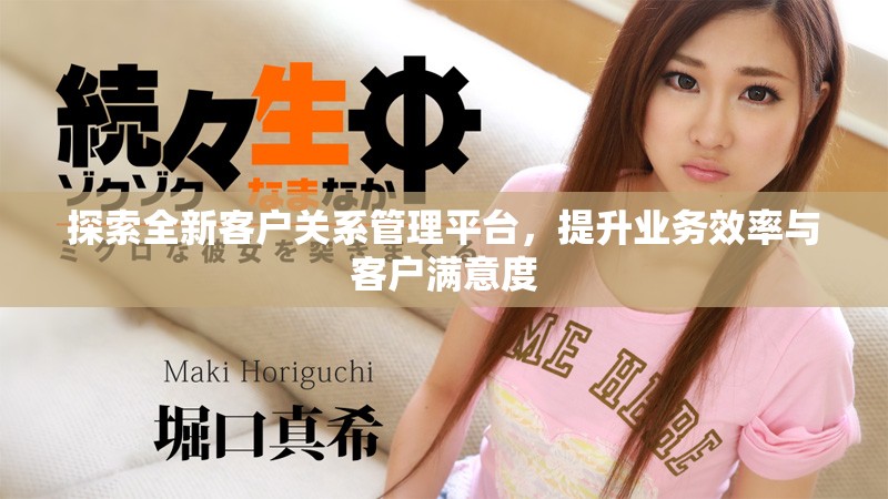 探索全新客户关系管理平台，提升业务效率与客户满意度