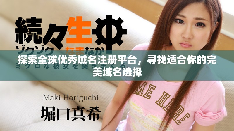 探索全球优秀域名注册平台，寻找适合你的完美域名选择