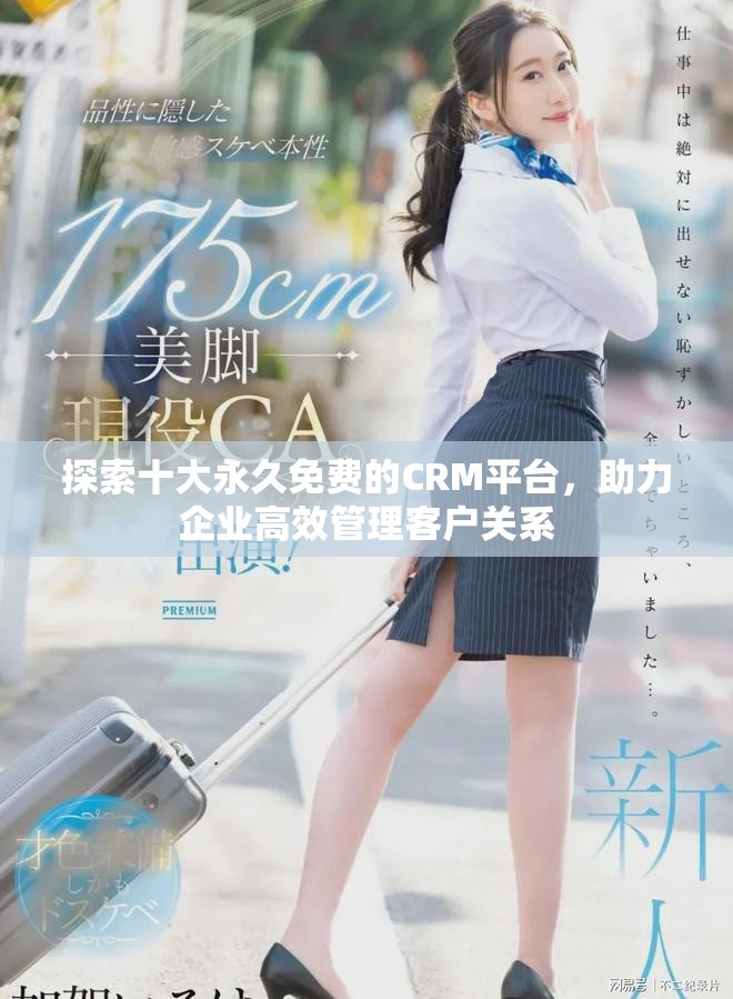 探索十大永久免费的CRM平台，助力企业高效管理客户关系