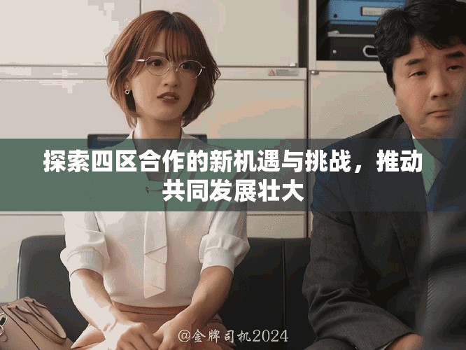 探索四区合作的新机遇与挑战，推动共同发展壮大