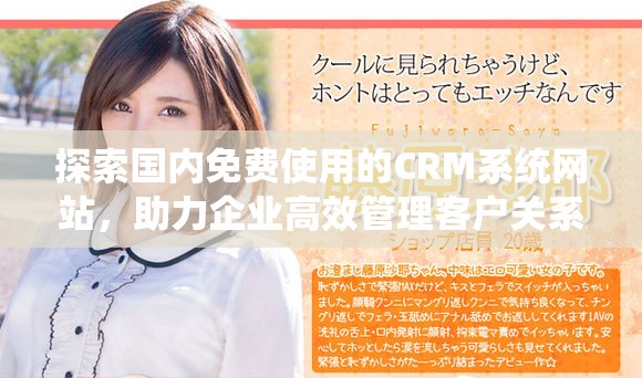 探索国内免费使用的CRM系统网站，助力企业高效管理客户关系