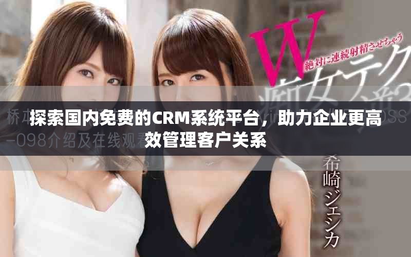 探索国内免费的CRM系统平台，助力企业更高效管理客户关系