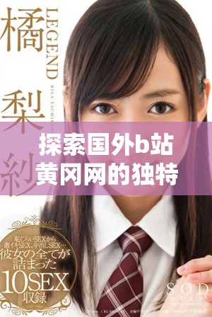 探索国外b站黄冈网的独特魅力与文化潮流发展之路