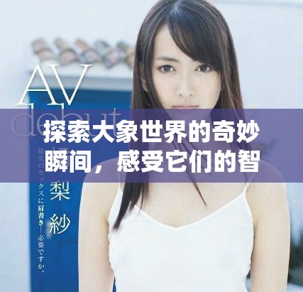 探索大象世界的奇妙瞬间，感受它们的智慧与魅力！