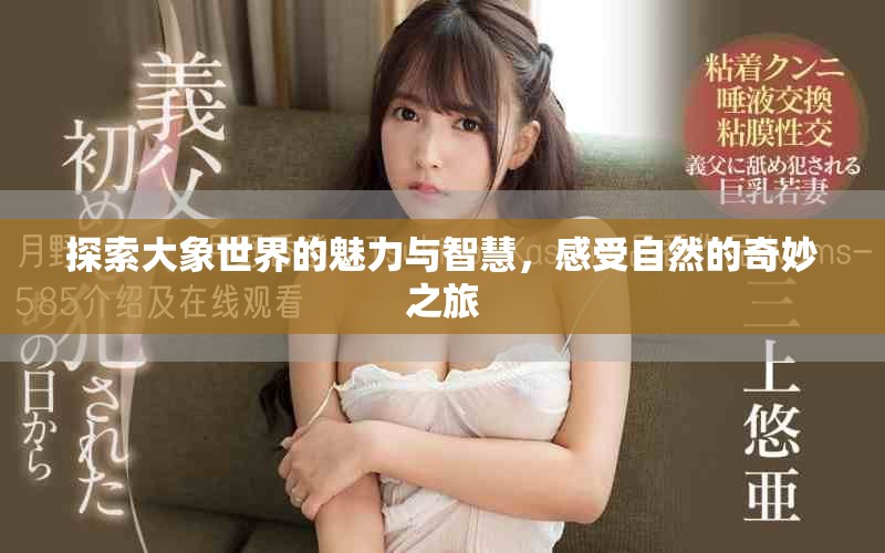 探索大象世界的魅力与智慧，感受自然的奇妙之旅