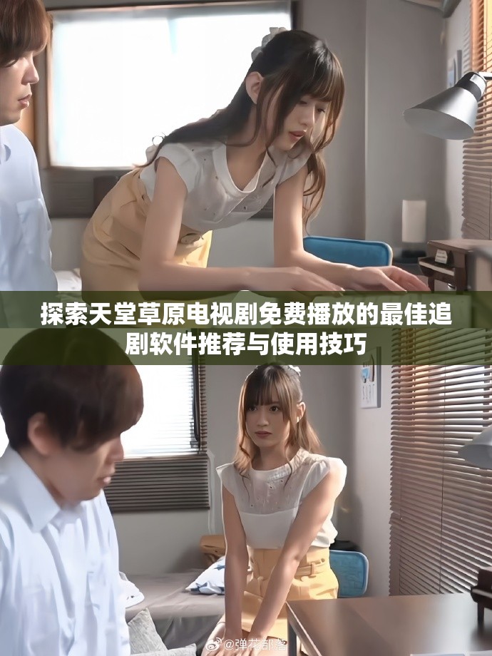 探索天堂草原电视剧免费播放的最佳追剧软件推荐与使用技巧