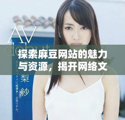 探索麻豆网站的魅力与资源，揭开网络文化的新面貌