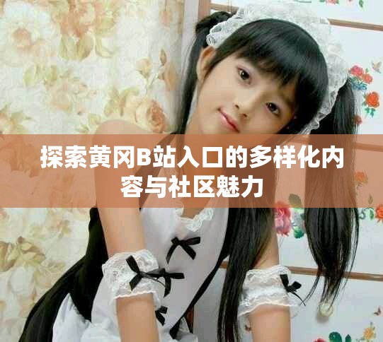 探索黄冈B站入口的多样化内容与社区魅力