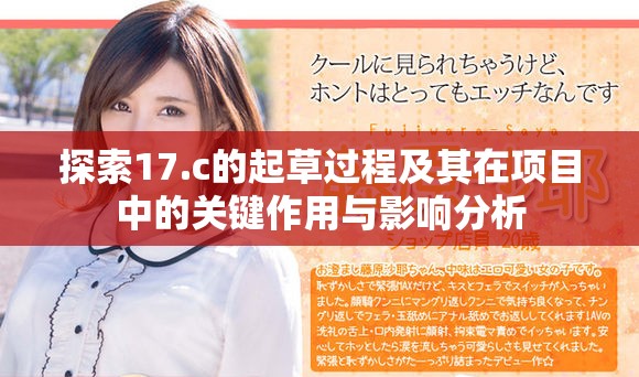 探索17.c的起草过程及其在项目中的关键作用与影响分析