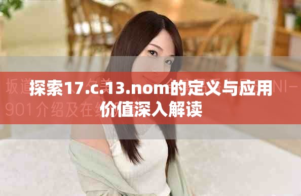 探索17.c.13.nom的定义与应用价值深入解读