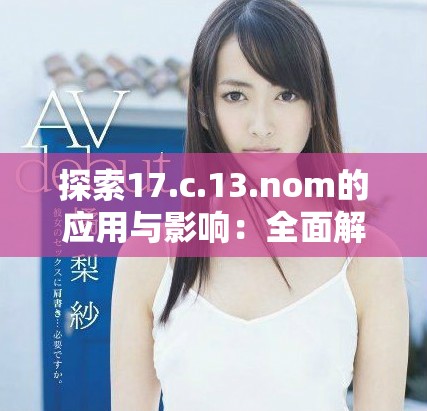 探索17.c.13.nom的应用与影响：全面解析与深入探讨
