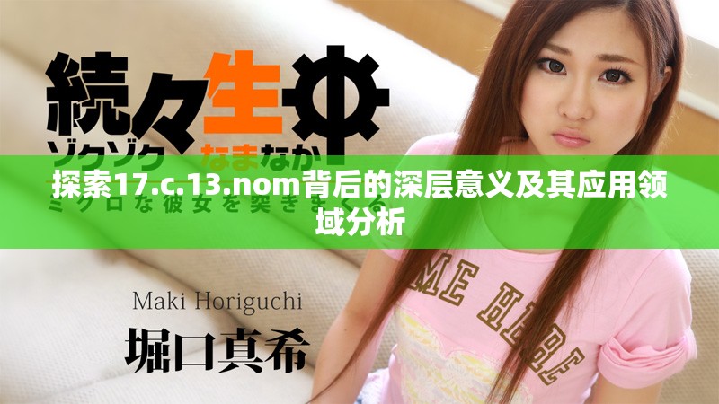 探索17.c.13.nom背后的深层意义及其应用领域分析