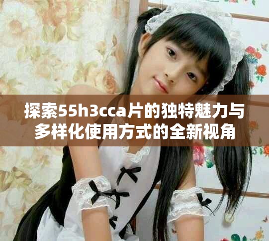 探索55h3cca片的独特魅力与多样化使用方式的全新视角