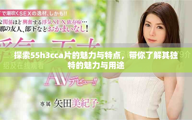探索55h3cca片的魅力与特点，带你了解其独特的魅力与用途