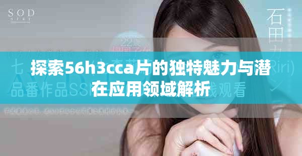 探索56h3cca片的独特魅力与潜在应用领域解析