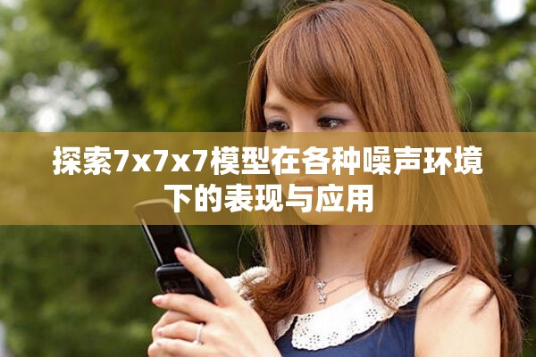 探索7x7x7模型在各种噪声环境下的表现与应用