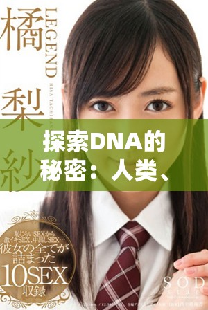 探索DNA的秘密：人类、猪和狗的基因对比与联系分析