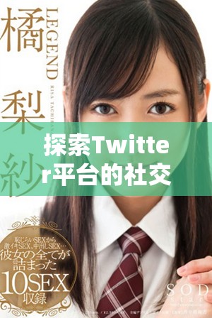 探索Twitter平台的社交媒体影响力与用户体验分析
