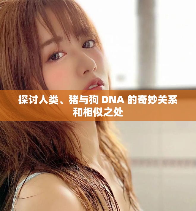 探讨人类、猪与狗 DNA 的奇妙关系和相似之处