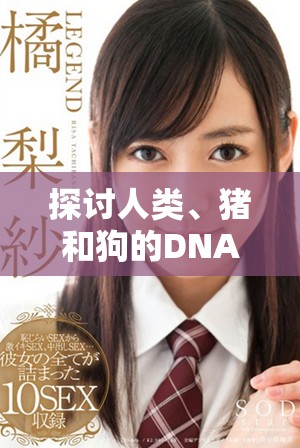 探讨人类、猪和狗的DNA差异与联系的精彩视频分析